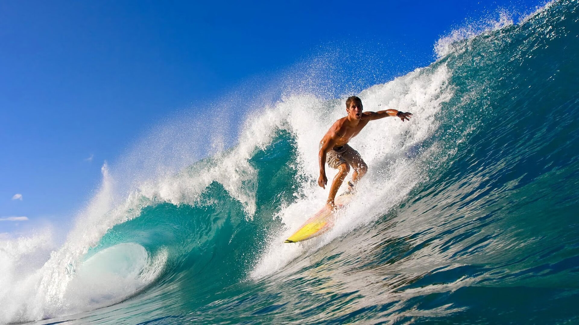 kaiyun中国官方网站-体育产业市场调研报告，体育产业调查总结