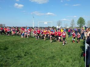 kering.com-全国青少年劳动体育竞赛各项赛事激烈进行，全国青少年劳动体育竞赛各项赛事激烈进行的原因